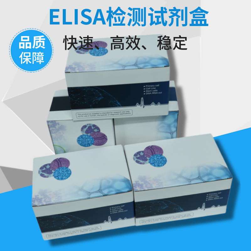 有哪些常用的qRT-PCR引物对照