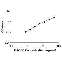 人自噬相关蛋白5(ATG5)ELISA试剂盒