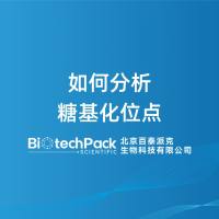 如何分析糖基化位点-北京百泰派克生物科技