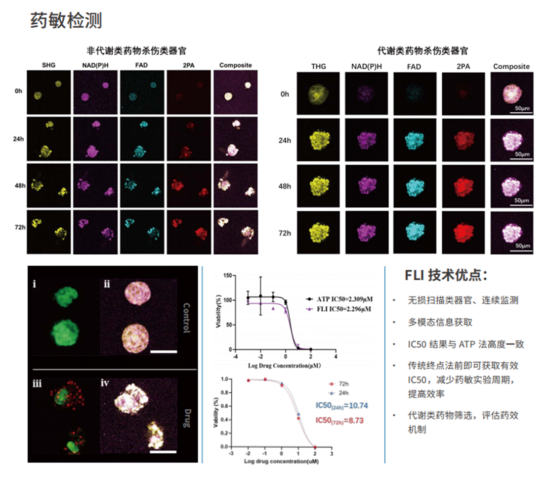 应用5-类器官药敏检测