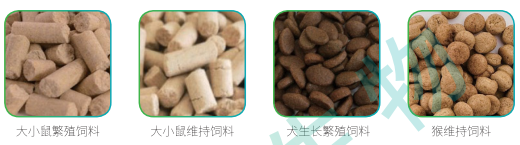 研发创新饲料，关注实验动物生长：为动物科研提供新能量