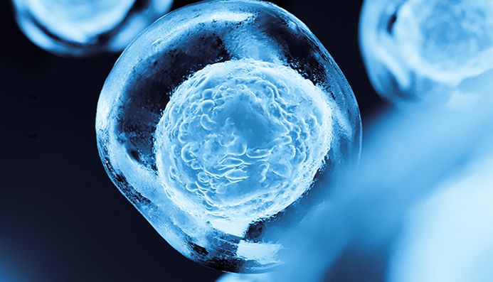 使用奥豪斯实验室设备改善您的细胞培养工作流程