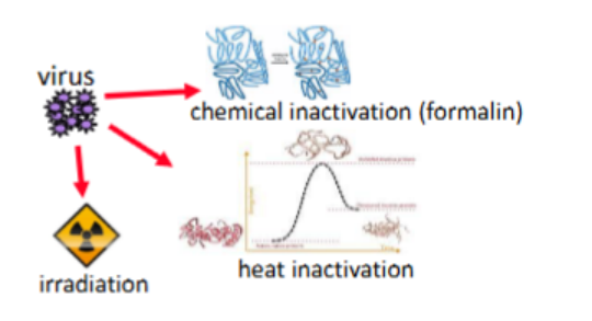 「DIFF CRO」灭活病毒质控品：热灭活 vs. 化学灭活及其在质控品定制中的应用