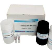 小鼠单抗Ig类亚类鉴定用酶标二抗即用套装（含轻链）(G1\G2a\G2b\G3\M\A\Kappa\Lambda)