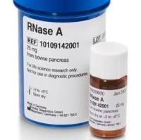 Roche货号10109142001现货RNA酶(RNase A)上海睿安生物19121878899默克Merck-Sigma-Roche-Millipore官方正式授权代理商