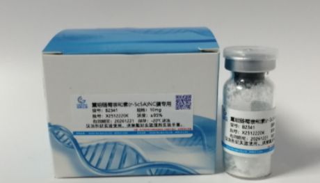 重组链霉亲和素(r-ScSA)(NC膜专用）现货