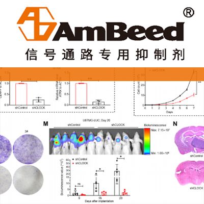 D-荧光素钾盐 | D-Luciferin potassium 纯度99%