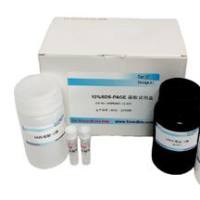 生物素标记试剂盒（超滤管：30K）, DDM1523A