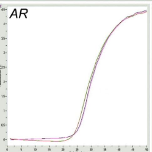 DNA pull-down 实验服务