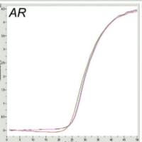 DNA pull-down 实验服务