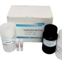 超级生物素快速标记试剂盒（超滤管：3K）, DDM1526A