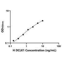 人双肾上腺皮质激素样激酶1(DCLK1)ELISA试剂盒