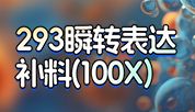 解锁293细胞蛋白产量翻倍的秘密