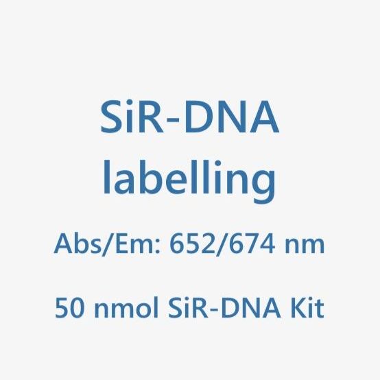 SiR-DNA（SiR-Hoechst*） DNA活细胞核染料