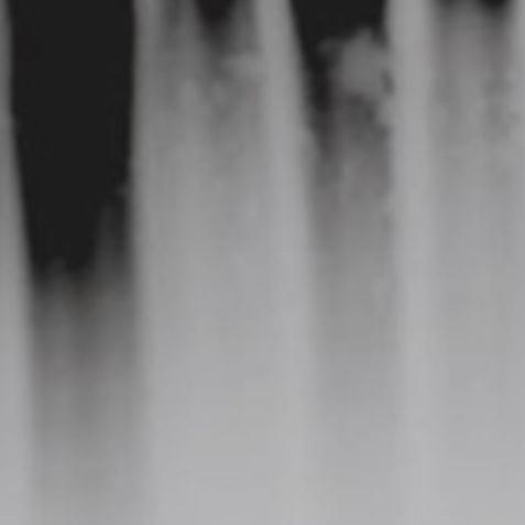 标签蛋白 Pull-down 实验服务