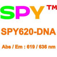 SPY620-DNA 超分辨活细胞探针