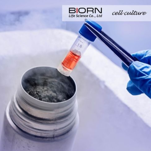 细胞层面药效筛选综合解决方案