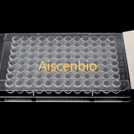 Aiscenbio 自粘型 耐温高清封板膜