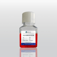 永生化人阴道成纤维细胞专用完全培养基