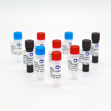 BNCC产品目录-IVD质控品-10