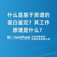 什么是基于质谱的蛋白鉴定？其工作原理是什么？