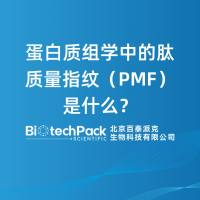 蛋白质组学中的肽质量指纹（PMF）是什么？