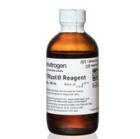 Invitrogen货号15596026CN或15596018CN现货TRIzol Reagent上海睿安生物19121878899