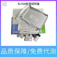 Tunel细胞凋亡检测试剂盒（FITC）