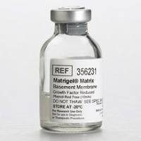Matrigel 低生长因子基质胶, 无酚红, LDEV-free，356231