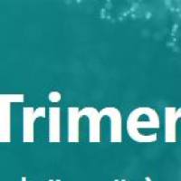 Trimer引物合成