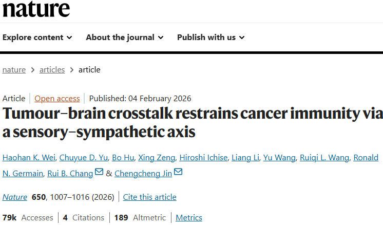Nature：肺泡巨噬细胞是肿瘤-大脑对话神经免疫轴中的关键中介细胞