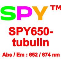 SPY650-微管超分辨蛋白探针