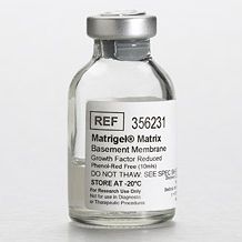 Matrigel 低生长因子基质胶, 无酚红, LDEV-free，356231