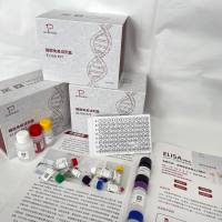 鸟（Bird）肿瘤坏死因子α（TNF-α）ELISA检测试剂盒