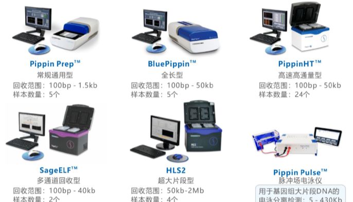 全自动DNA切胶仪精准筛选GUIDE-seq2测序文库，验证CRISPR-Cas9酶变体PAM序列特异性