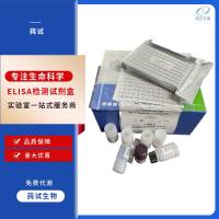 通用RT-LAMP试剂盒