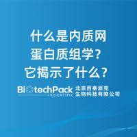 什么是内质网蛋白质组学？它揭示了什么？