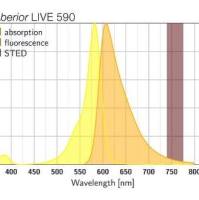 Abberior LIVE 590 肌动蛋白超分辨荧光探针