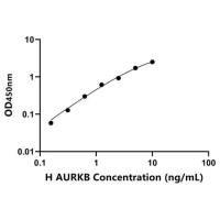 人Aurora激酶B(AURKB)ELISA试剂盒