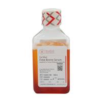 金牌胚胎干细胞专用胎牛血清