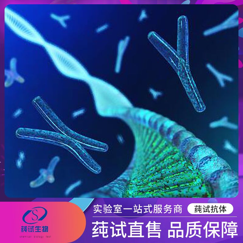 重组人骨形态发生蛋白-2