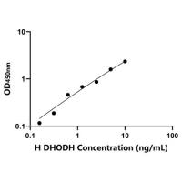 人二氢乳清酸脱氢酶(DHODH)ELISA试剂盒