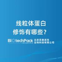 线粒体蛋白修饰有哪些？