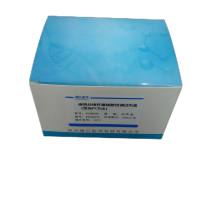 犬细小病毒核酸实时荧光PCR检测试剂盒