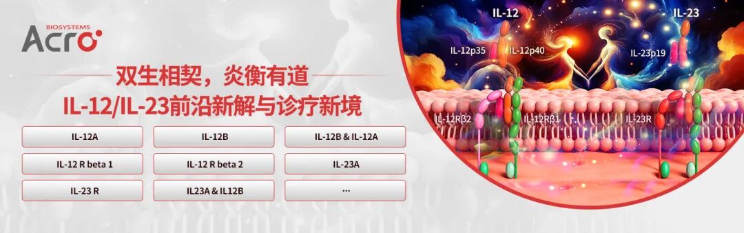 双生相契，炎衡有道：IL‑12/IL‑23前沿新解与诊疗新境