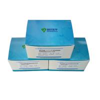 八种虫媒病原体核酸检测试剂盒（荧光PCR法）