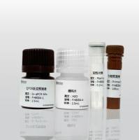 QPCR法支原体检测试剂盒(染料法)