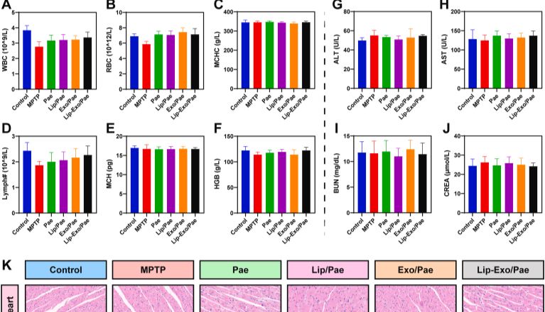 Mater Today Bio10+| 丹参外泌体+合成脂质体！杂化纳米粒buff 拉满——一举破解神经退行性疾病药物入脑难题