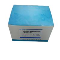 表皮葡萄球菌探针法荧光定量PCR试剂盒