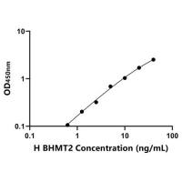 人甜菜碱高半胱氨酸甲基转移酶2(BHMT2)ELISA试剂盒